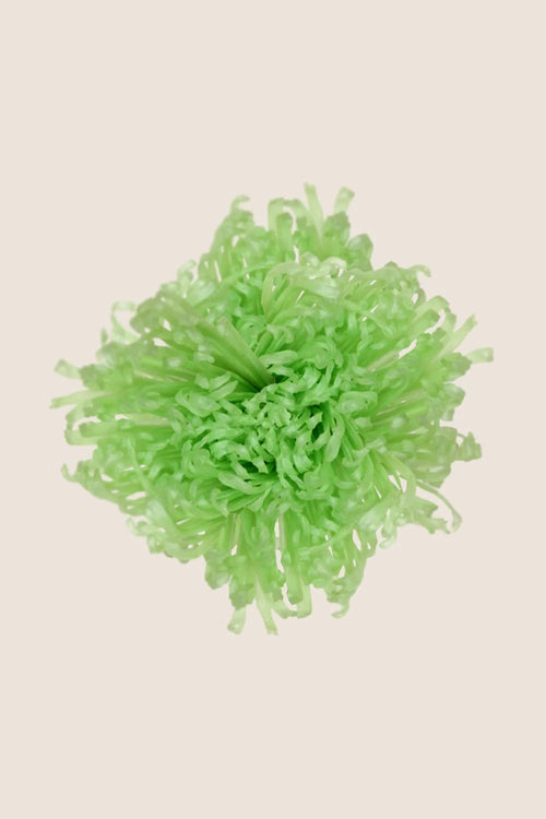 Anastasia Chrysanthemum - Caja de 3 cabezas