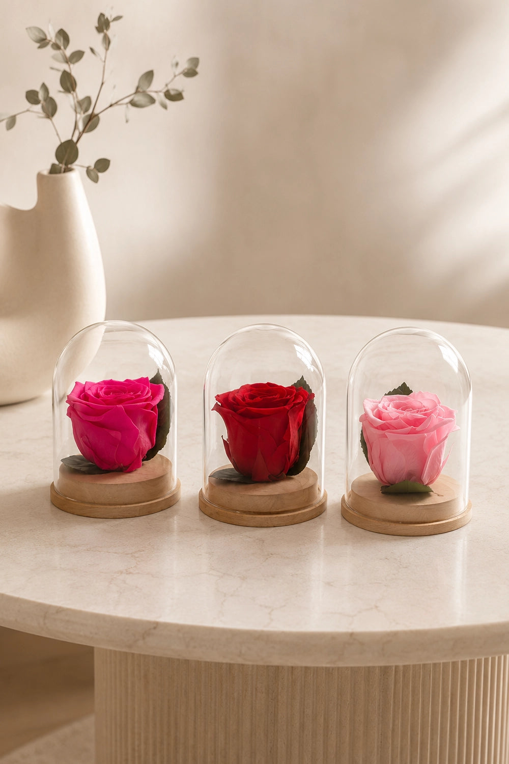 Queen Bell Jar