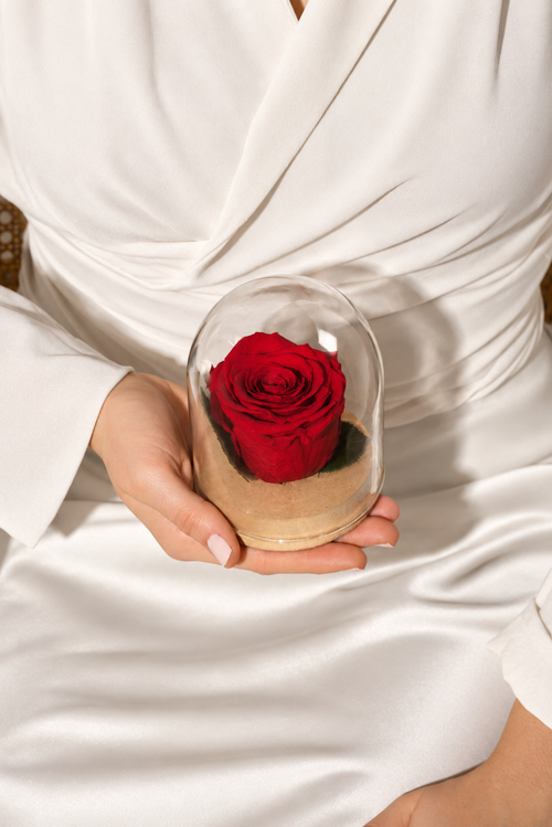 Königin-Glasglocke