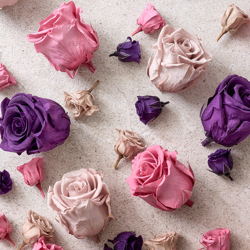<p>Fall winter 2026 2027 color trends: new shades inspired by nature</p>