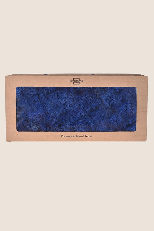 Lichen W-box