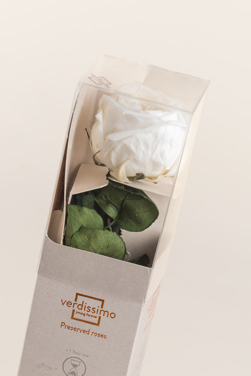 Mini Rosa de Tallo - Pack 25 ud.