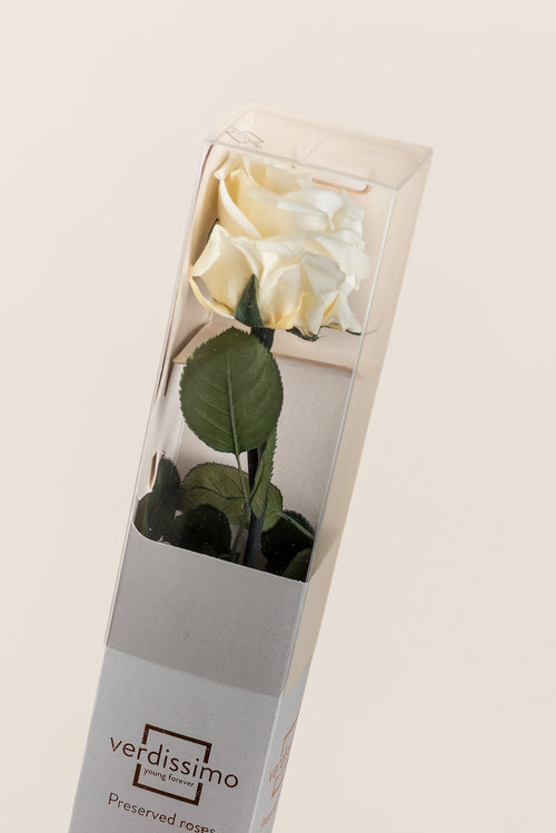 Amorosa Standard Gift Box - Pack 20 u.