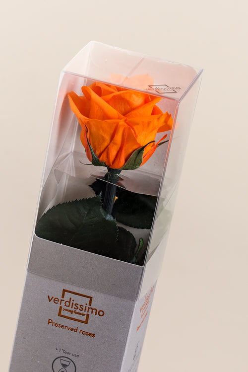 Amorosa Mini-Geschenkbox – Pack 25 u.