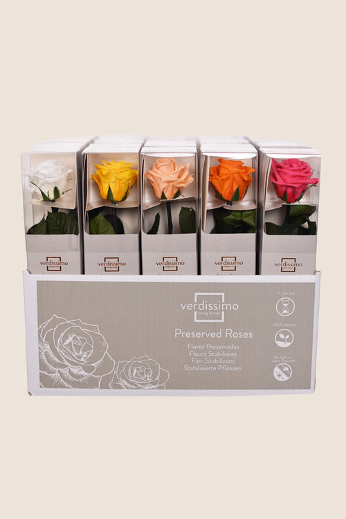 Amorosa Mini-Geschenkbox – Pack 25 u.