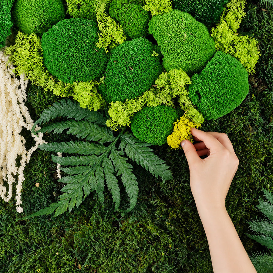 <p>Moss</p>