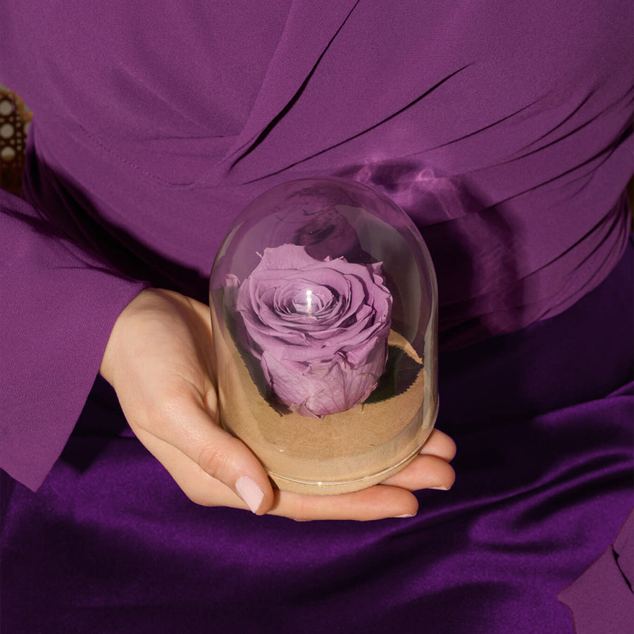 <p>Gifts</p>