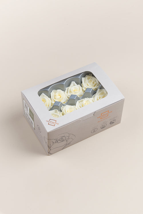 Rose Medium - Box 8 heads