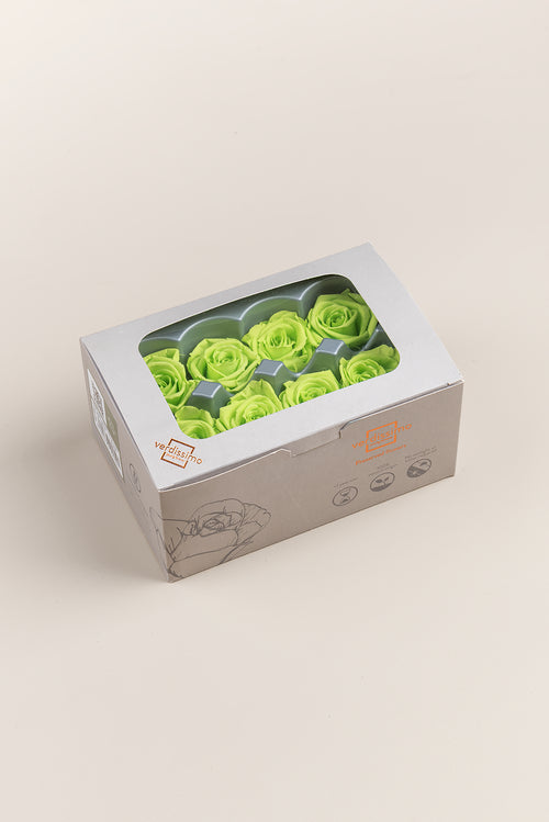 Rose Medium - Box 8 heads