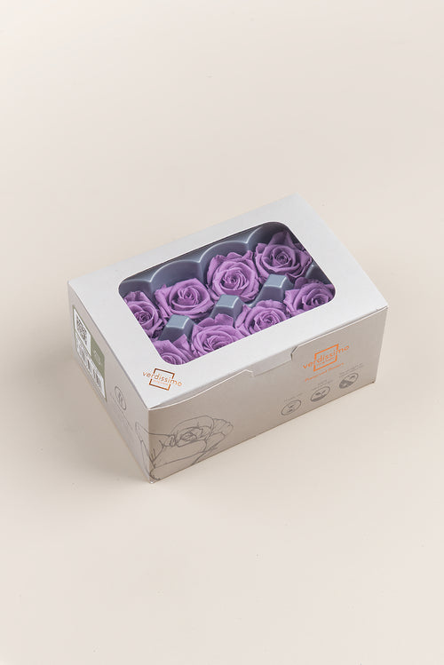 Rosa Mediana - Caja de 8 cabezas