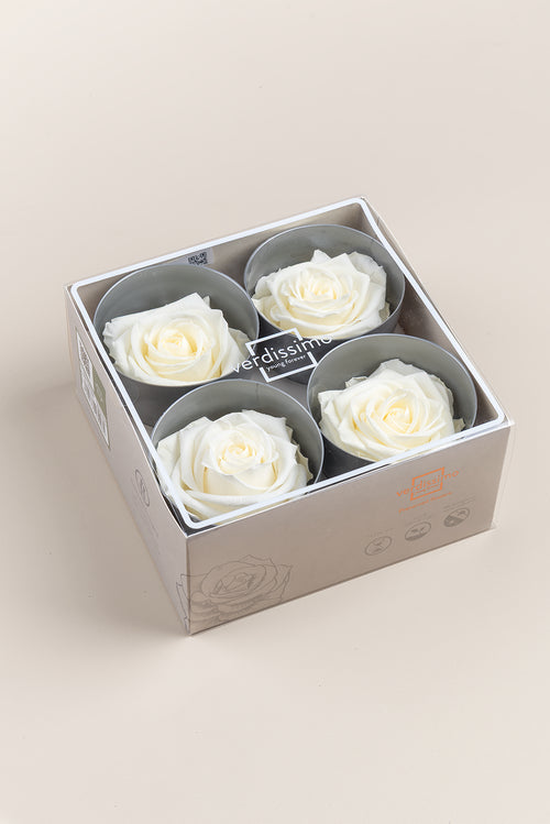 Rose Premium - Box 4 heads