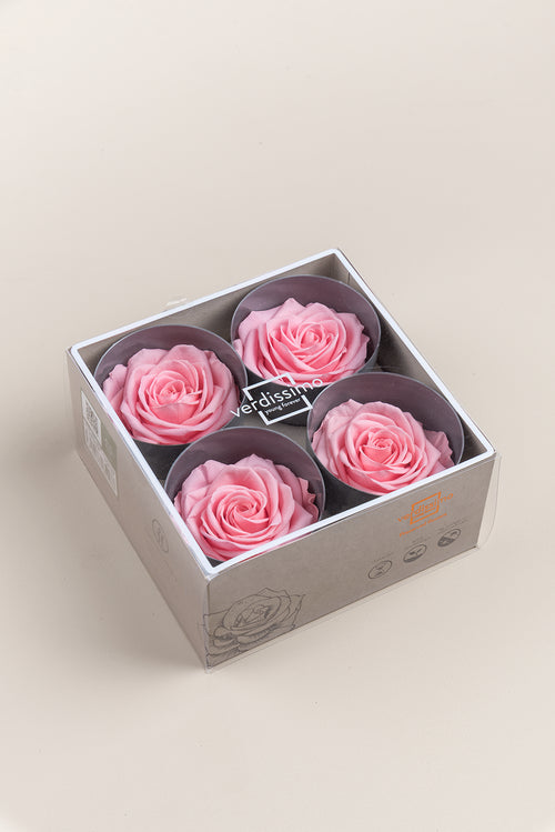 Rose Premium – Box mit 4 Köpfen