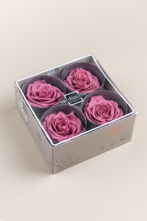 Rose Premium - Boîte 4 têtes