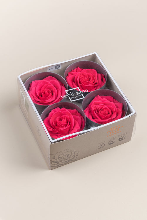 Rosa Premium - Caja de 4 cabezas