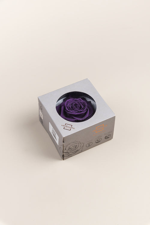 Rosenkönig - Box 1 Kopf