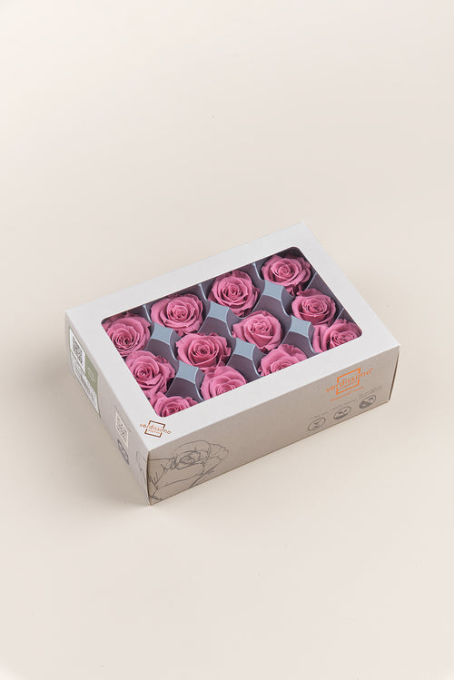 Rose Mini - Boîte 12 têtes