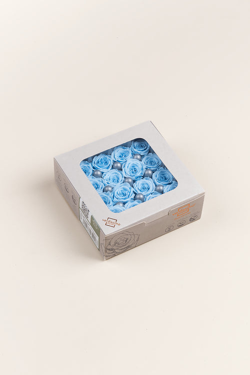 Rose Princess - Box mit 16 Köpfen