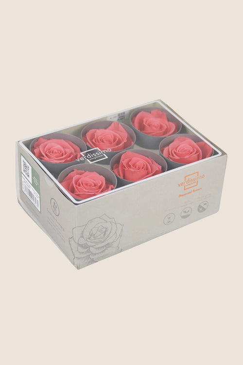 Rose Standard - Boîte 6 têtes
