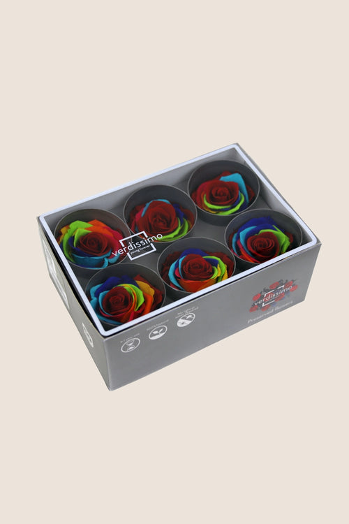 Rose Standard - Box mit 6 Köpfen