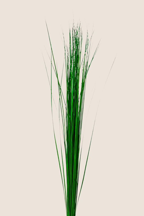 Steel Grass