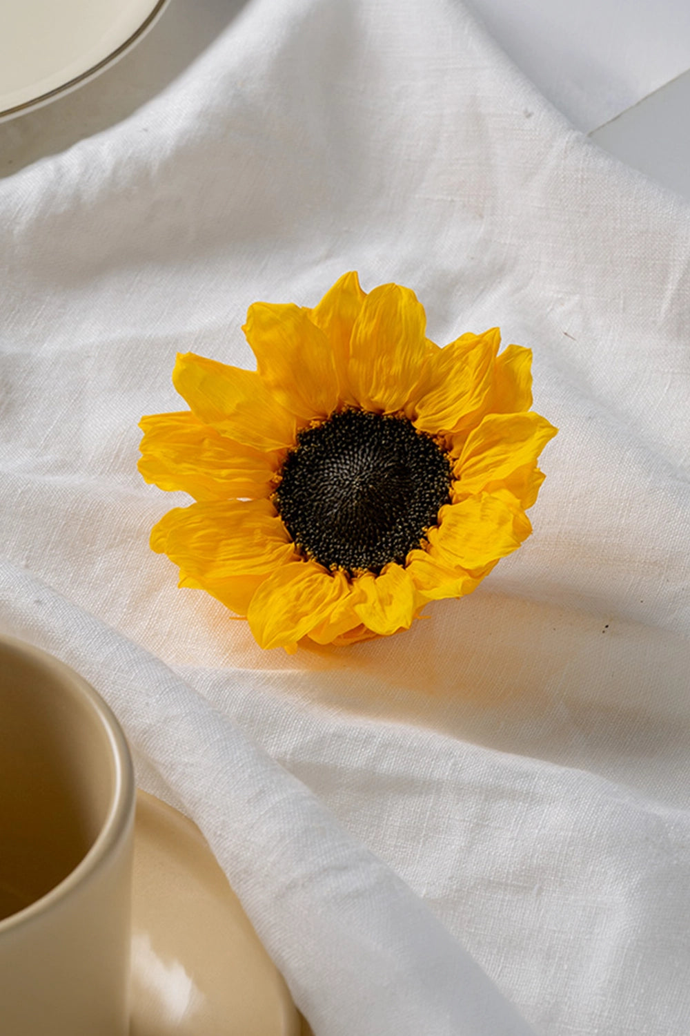 Girasol 1 Ud.