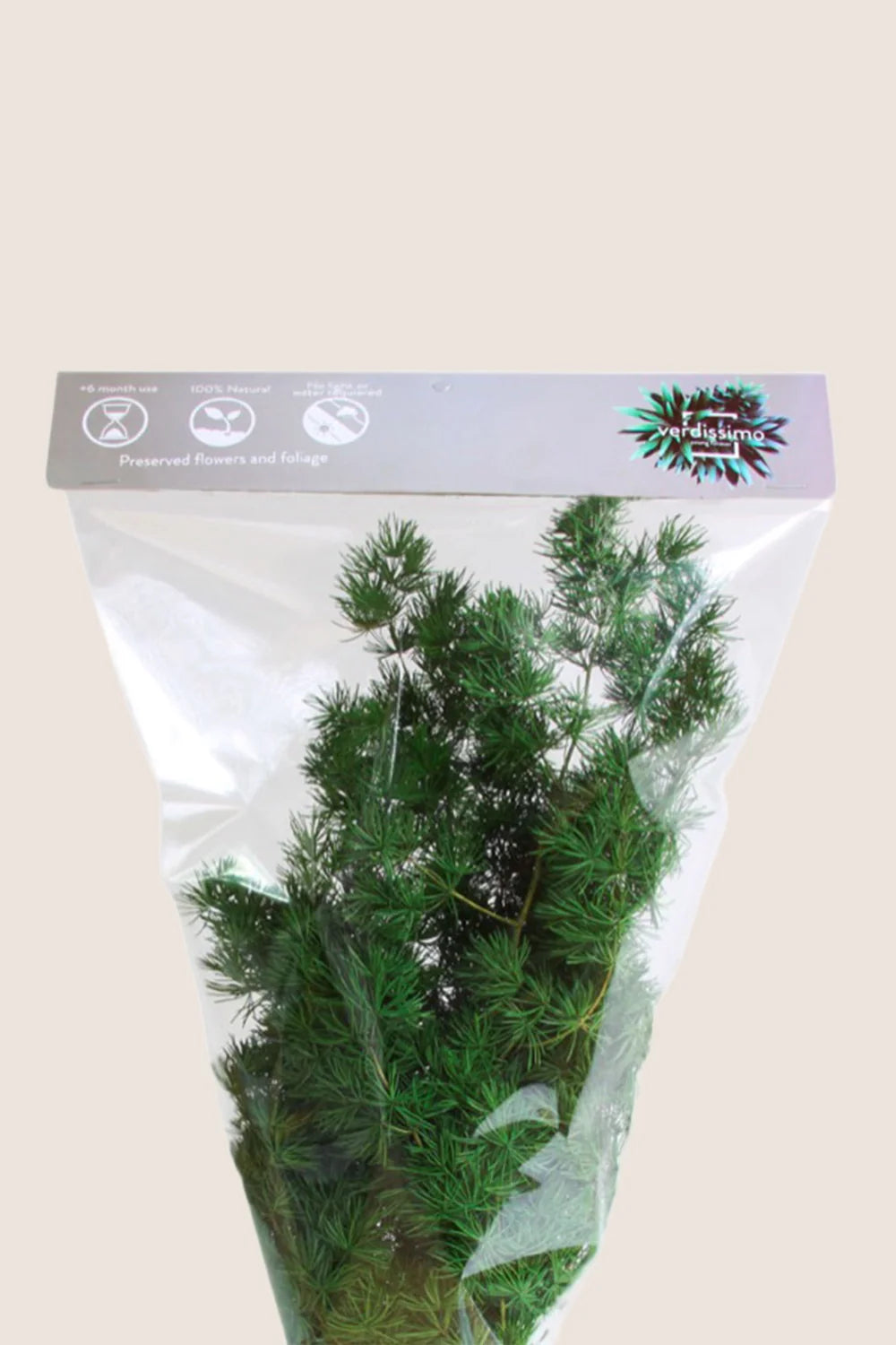 Ming Fern