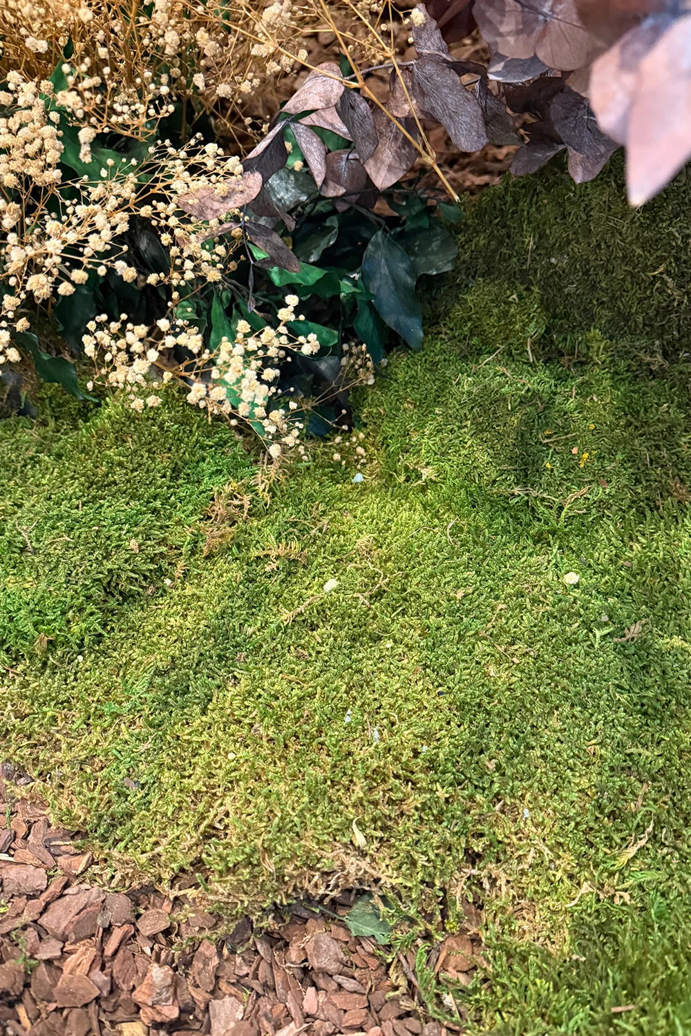 Flat Moss - Bulk Box