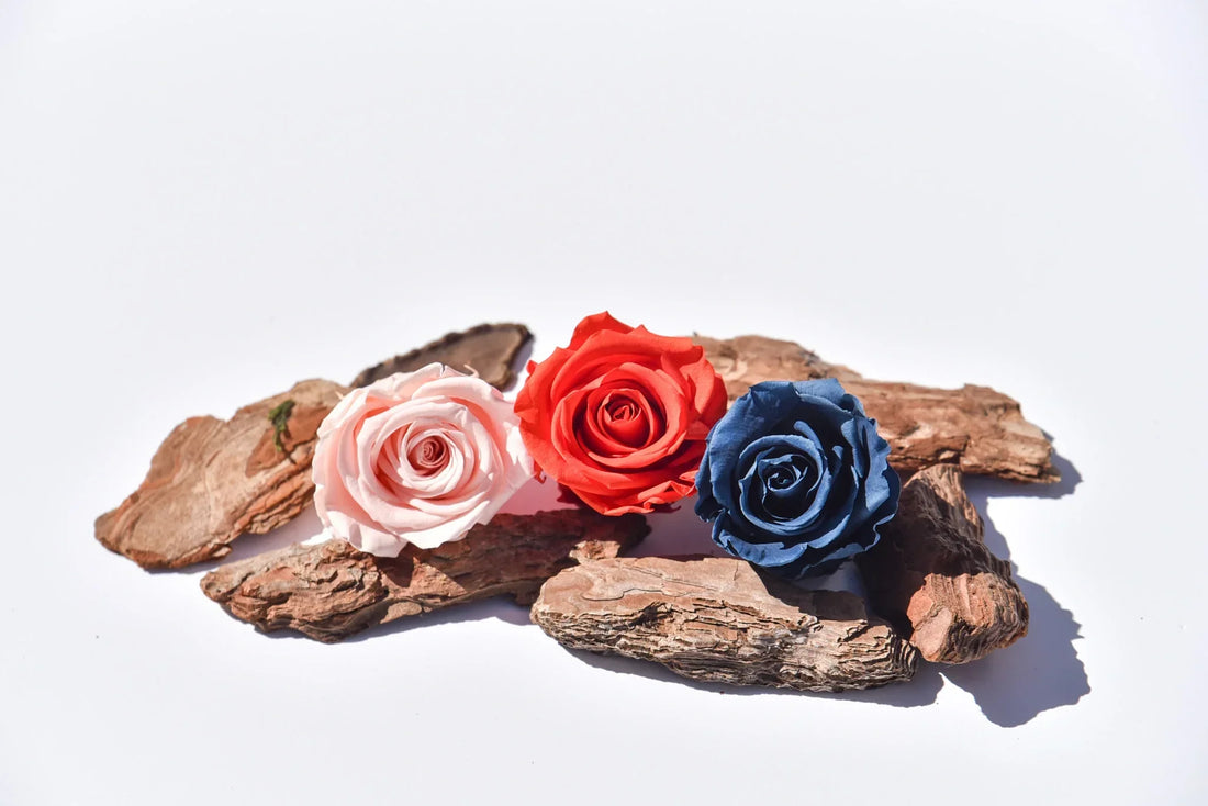 Rose Color Meanings: What Each Color Represents