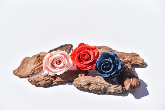 Rose Color Meanings: What Each Color Represents