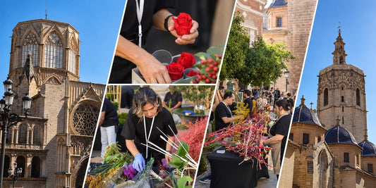 Verdissimo at the 1st Comunitat Valenciana Floral Art Cup