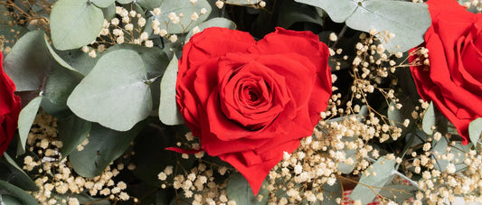 Colors and Flowers for Valentine’s Day: Trends and Meaning