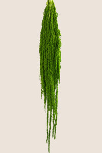 Vert citron