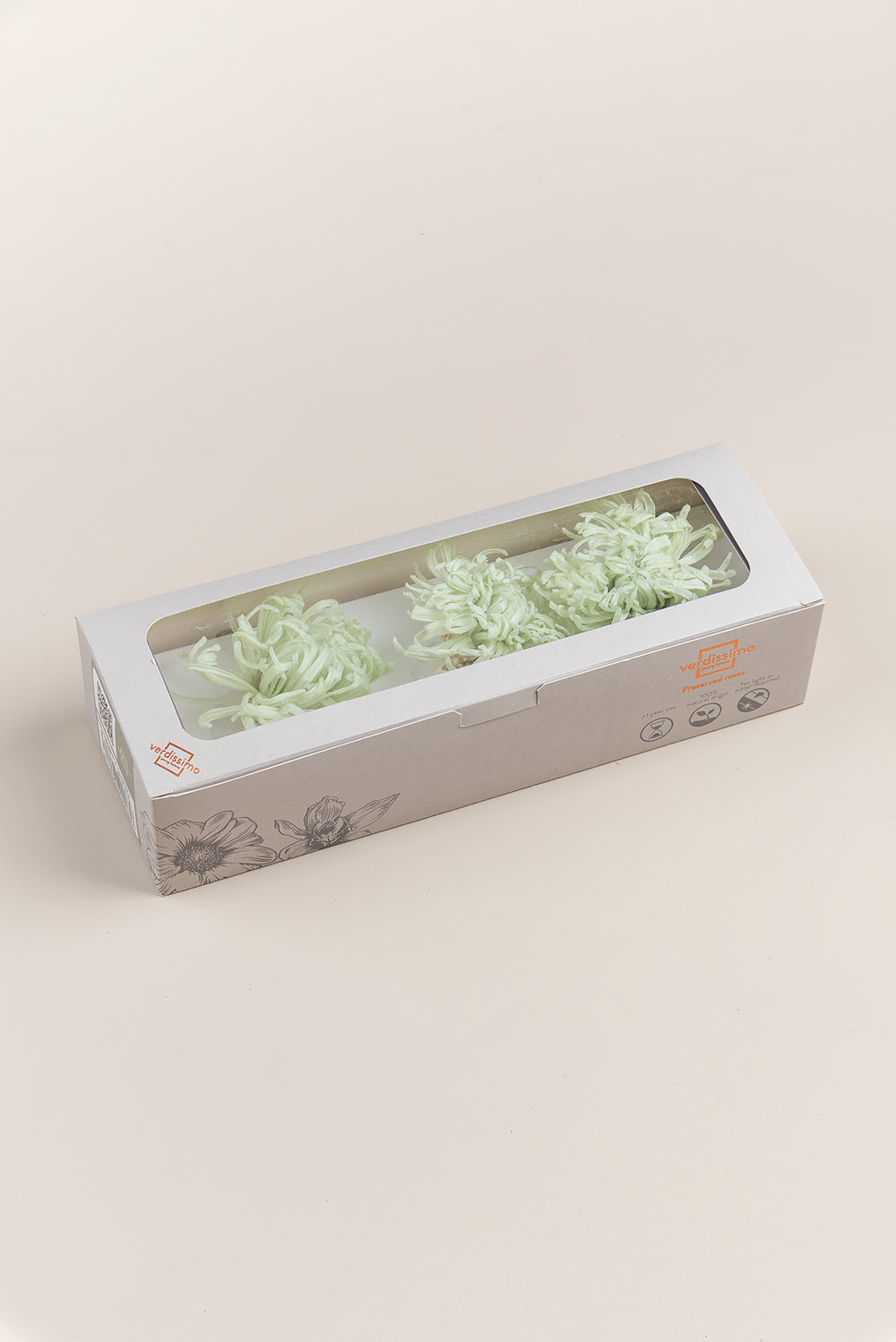 Anastasia Chrysanthemum - Caja de 3 cabezas