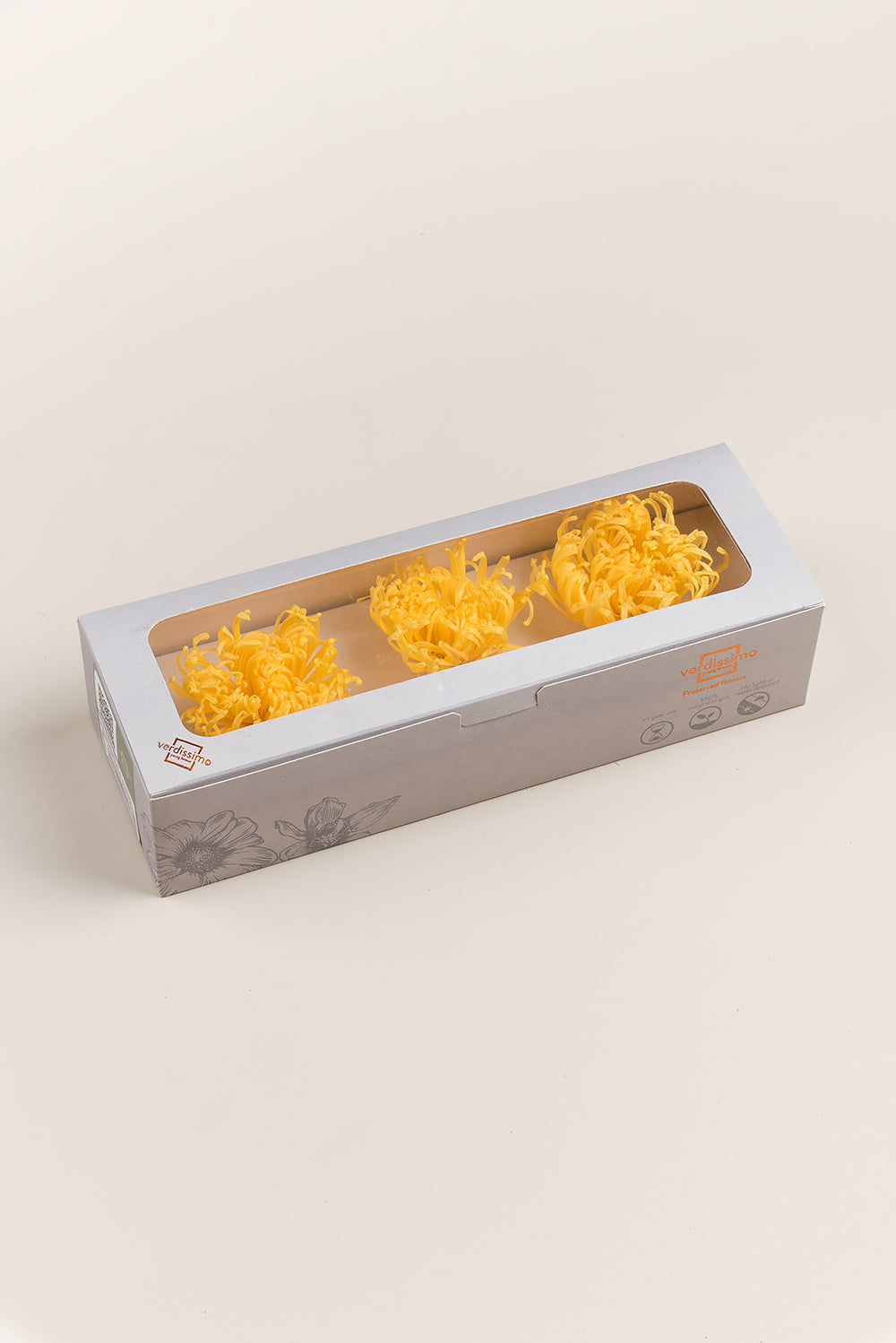 Anastasia Chrysanthemum - Caja de 3 cabezas