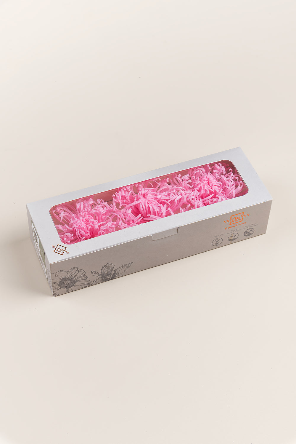 Anastasia Chrysanthemum - Caja de 3 cabezas
