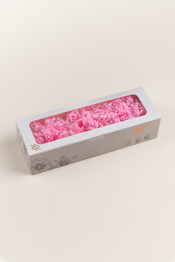 Anastasia Chrysanthemum - Box 3 heads