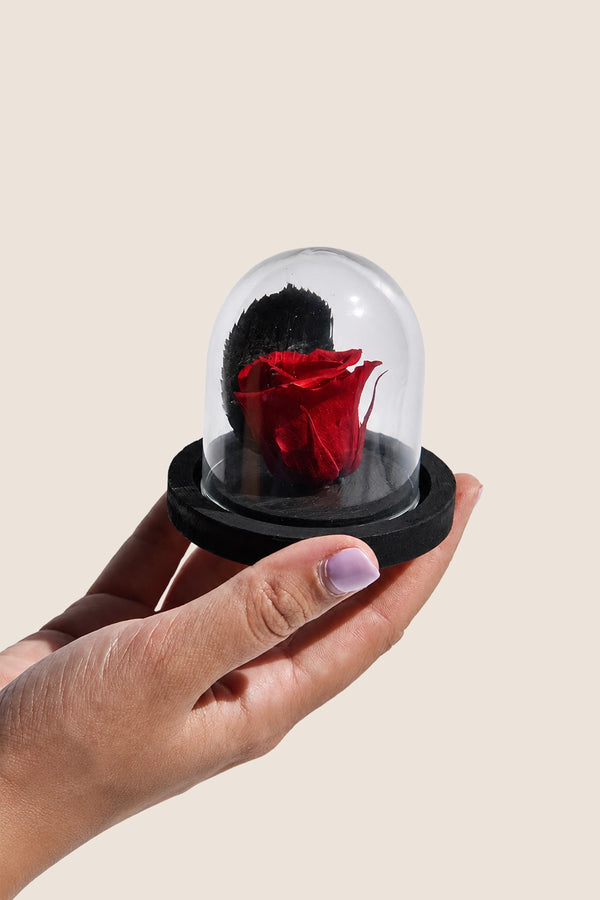 Mini Dome
