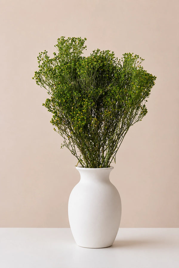 Balai