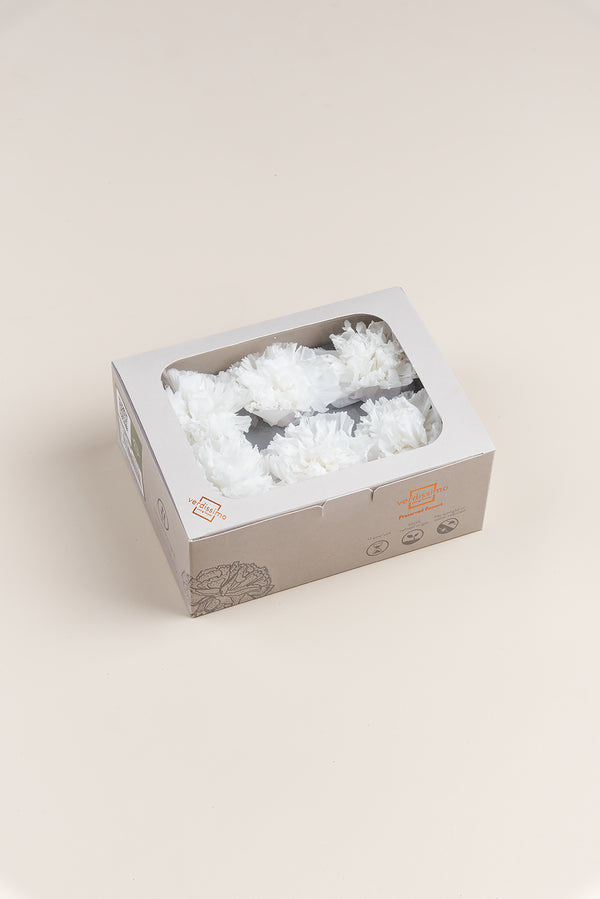 Carnation - Box 6 heads