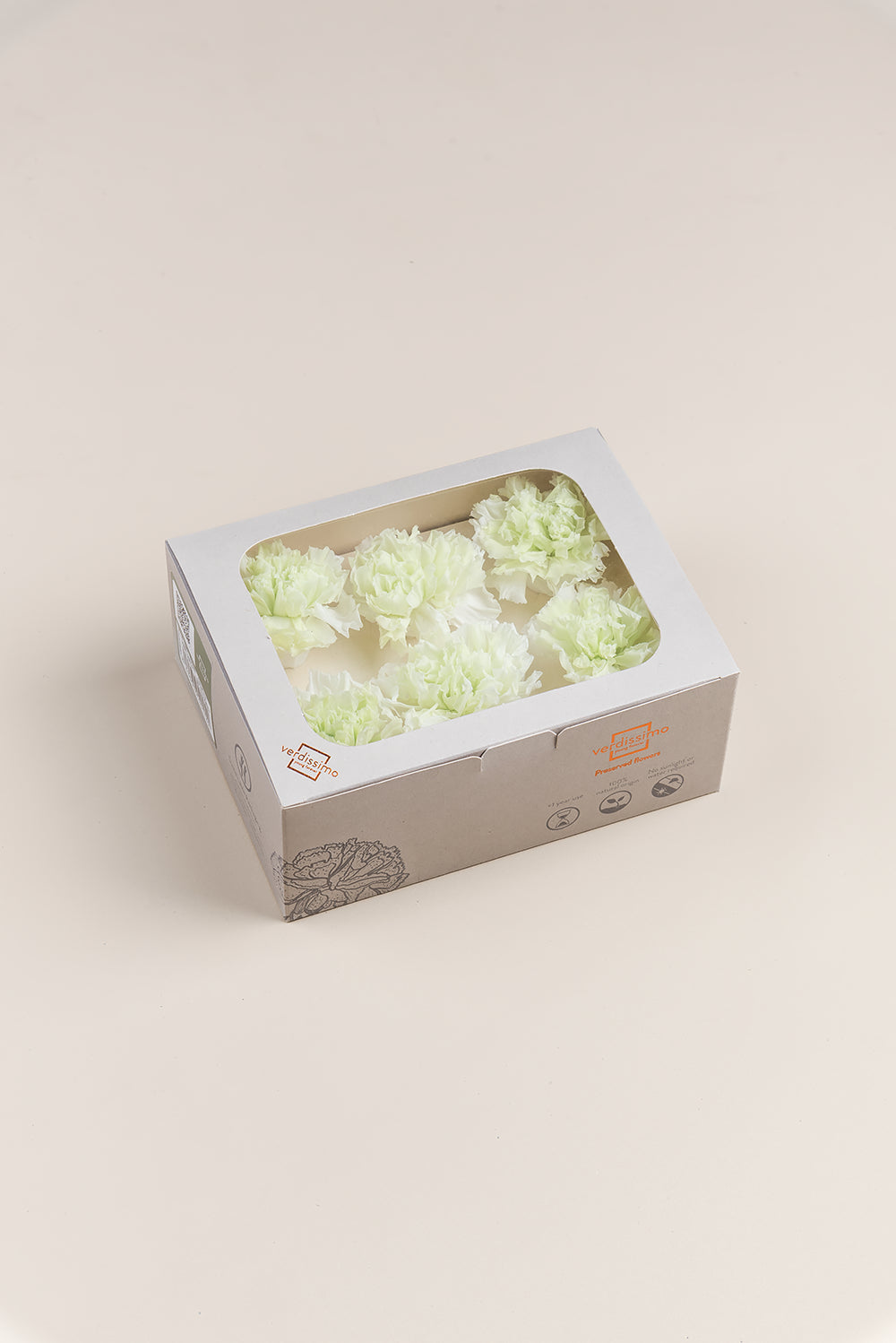 Clavel - Caja 6 cabezas
