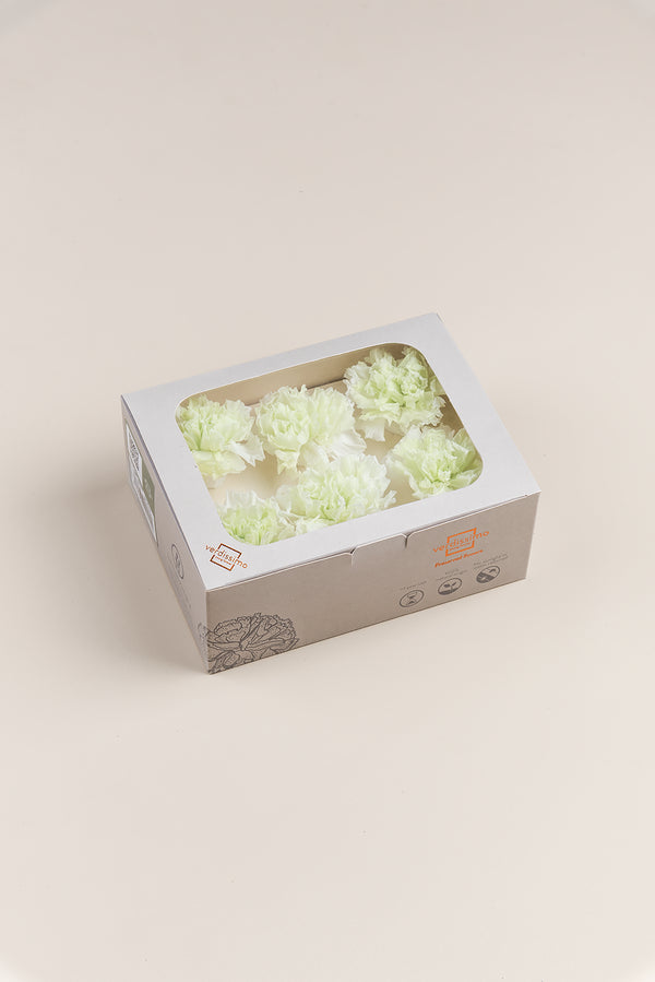 Carnation - Box 6 heads