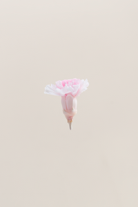 Duo Blanc et Rose