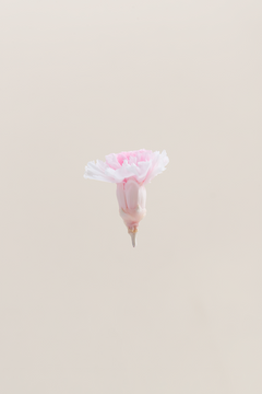 Dúo Blanco y Rosa