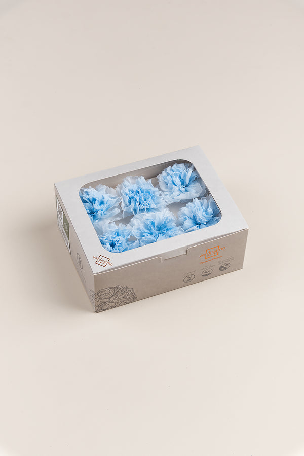 Carnation - Box 6 heads