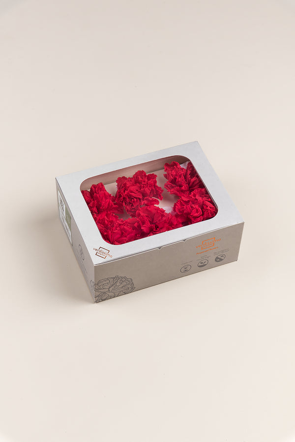 Carnation - Box 6 heads
