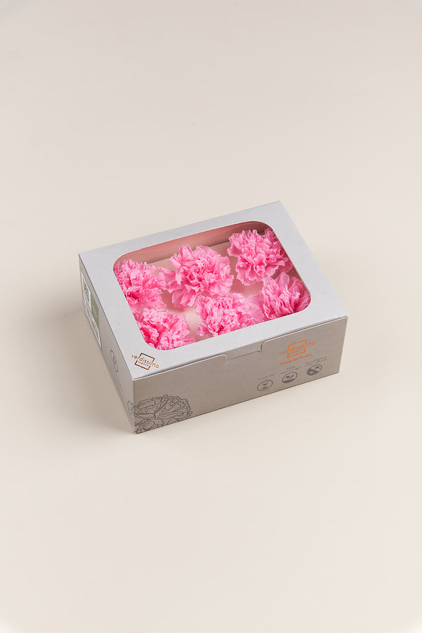 Carnation - Box 6 heads