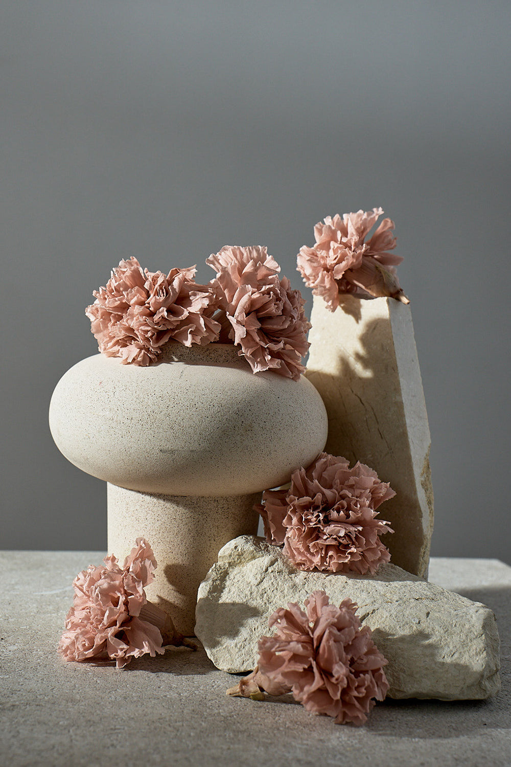 Carnation - Box 6 heads