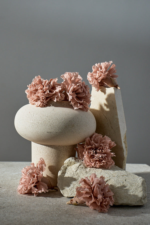 Carnation - Box 6 heads