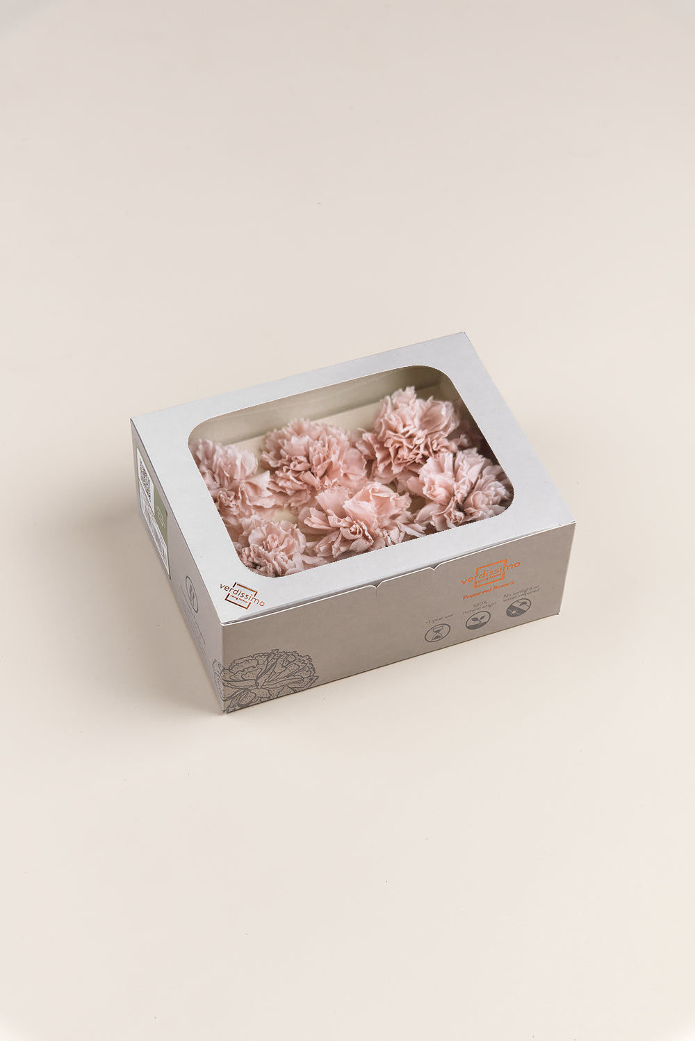 Carnation - Box 6 heads