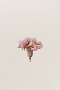 Pink Nude - NEW - Limited Edition